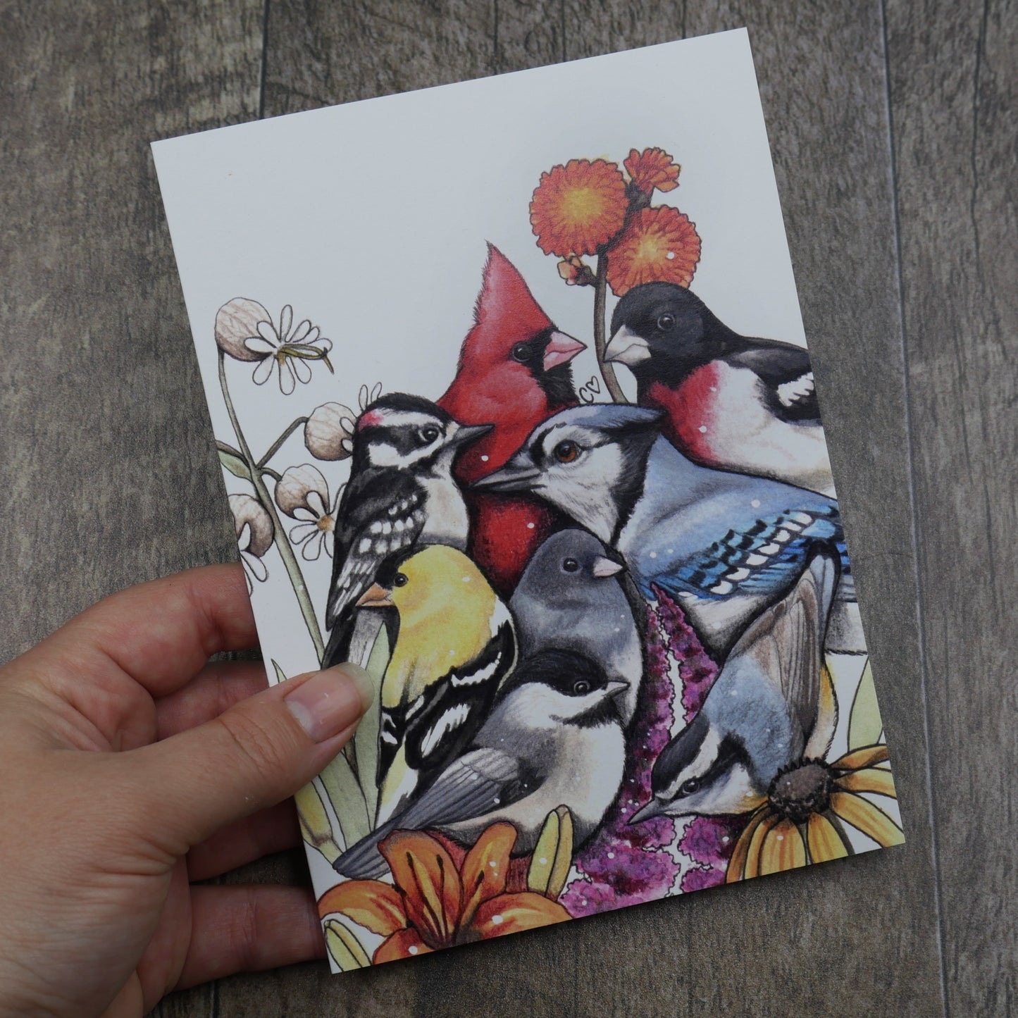 Carte de vœux oiseaux de mon jardin