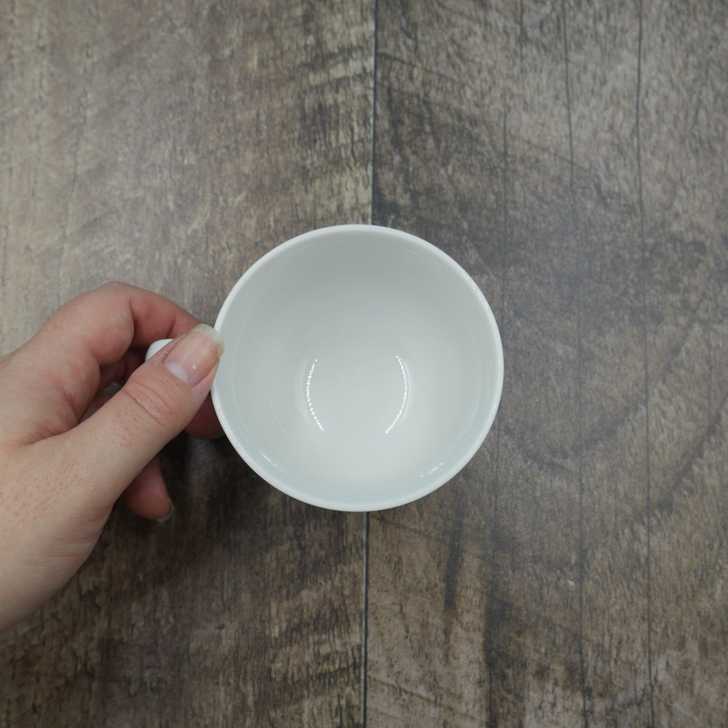 Petite tasse papillon Monarque