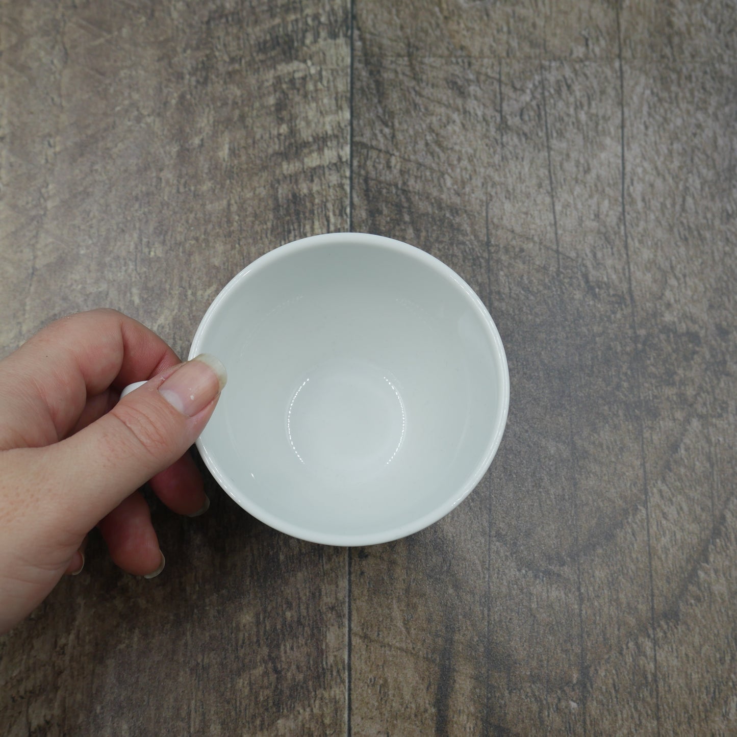 Petite tasse mésange bicolore