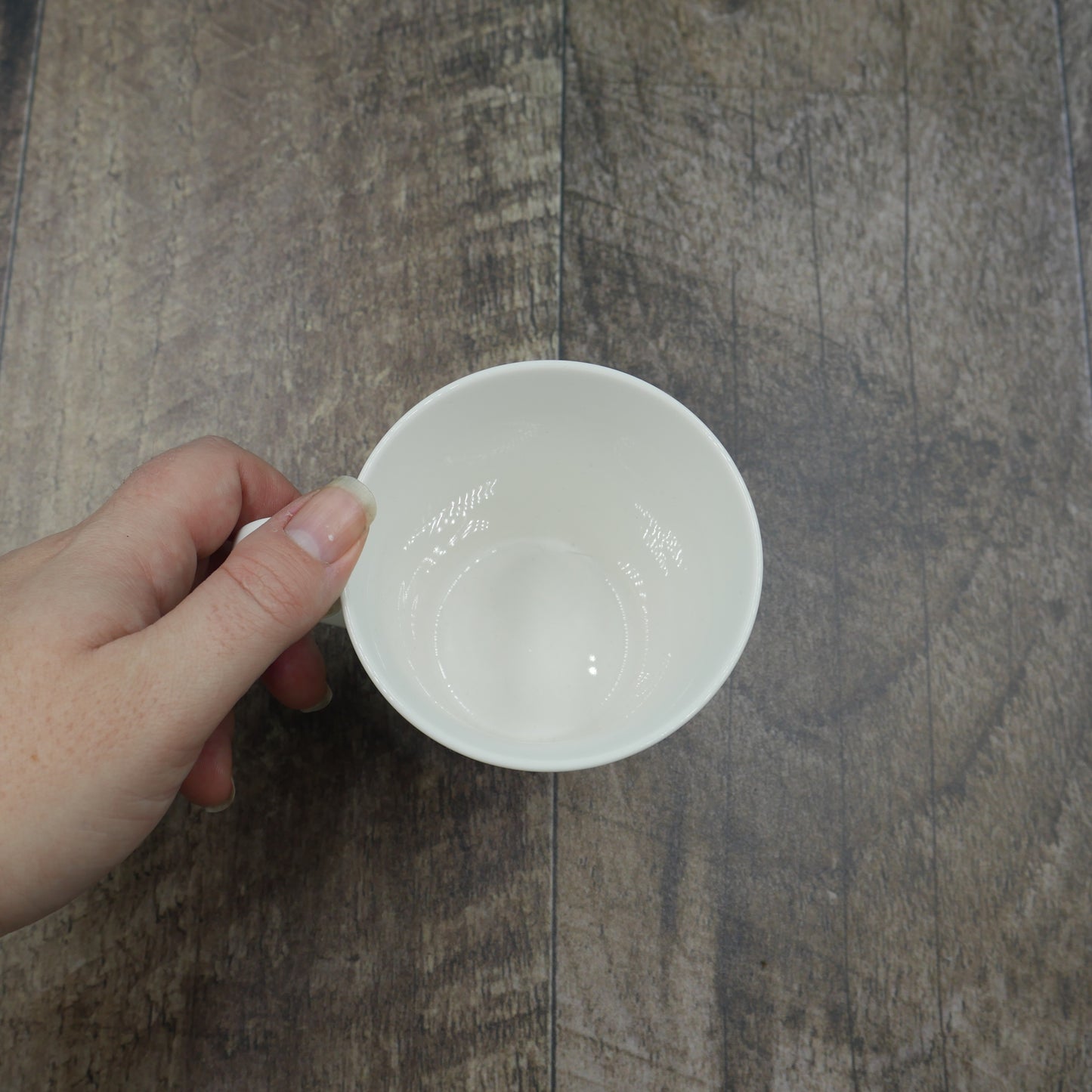 Tasse Chardonneret jaune