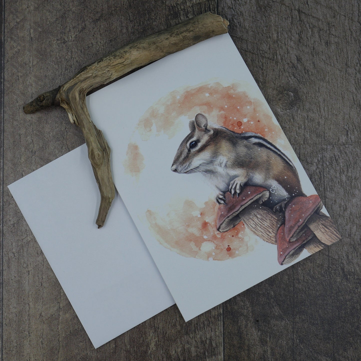 Carte de vœux tamia rayée et ses champignons