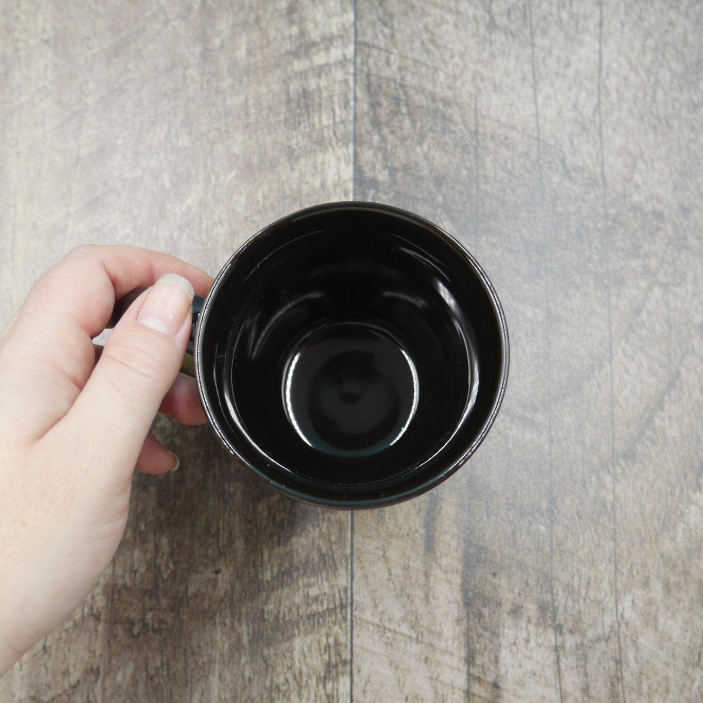 Tasse merle d'Amérique