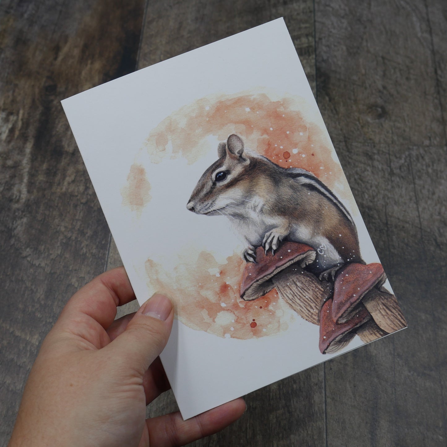 Carte de vœux tamia rayée et ses champignons