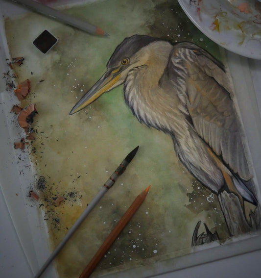 Aquarelle Grand héron